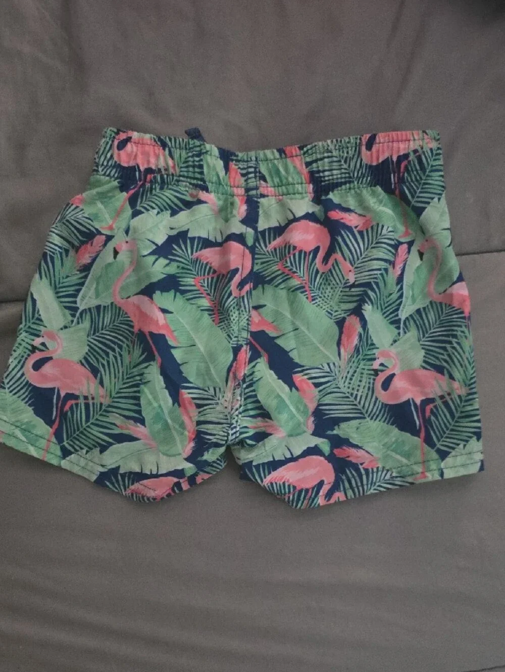 RuggedButts Baby Boy 6-12mo Flamingo Frenzy Pattern Swim Shorts
